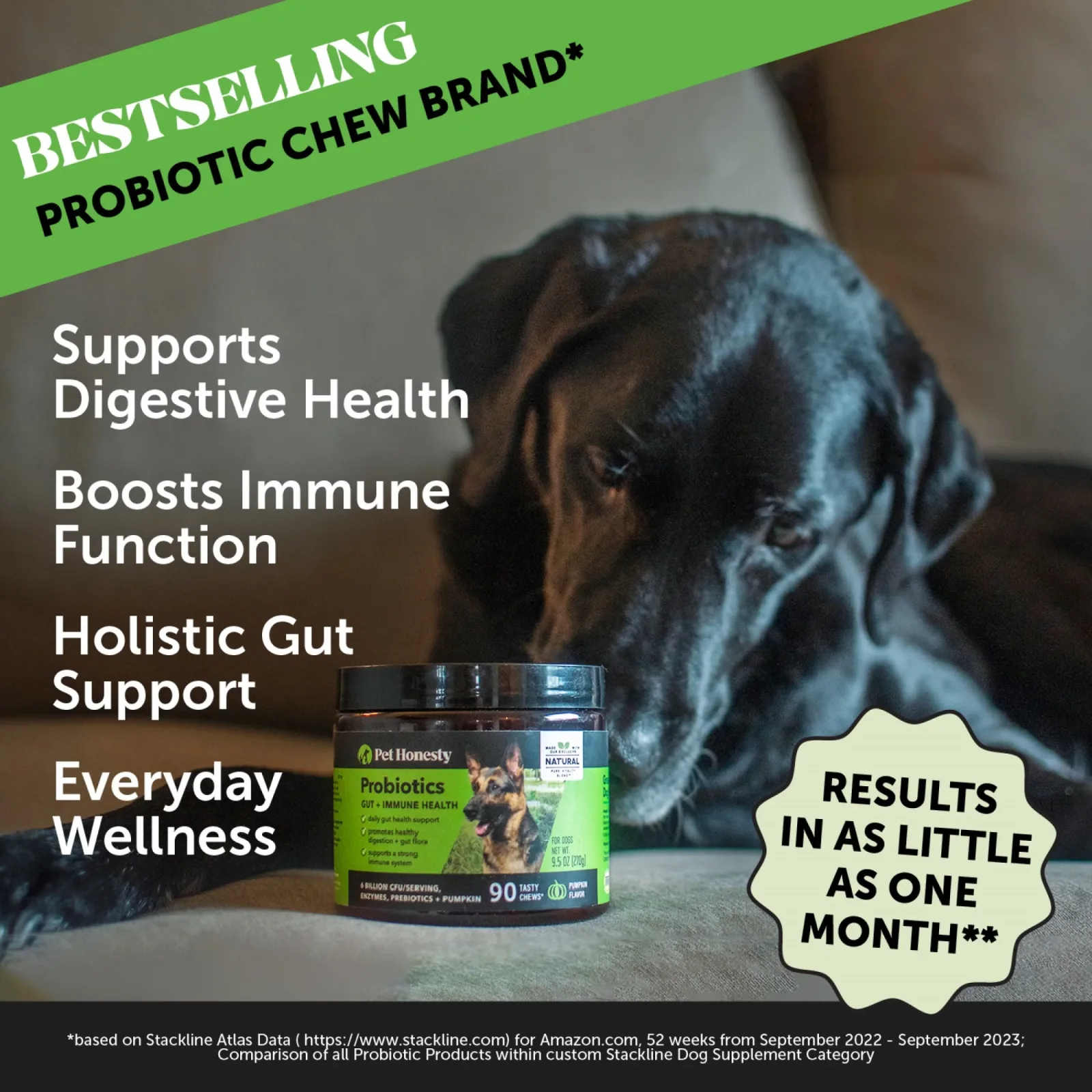 Pet Honesty Digestive Probiotics Pumpkin Soft Chew for Dogs - Image 2