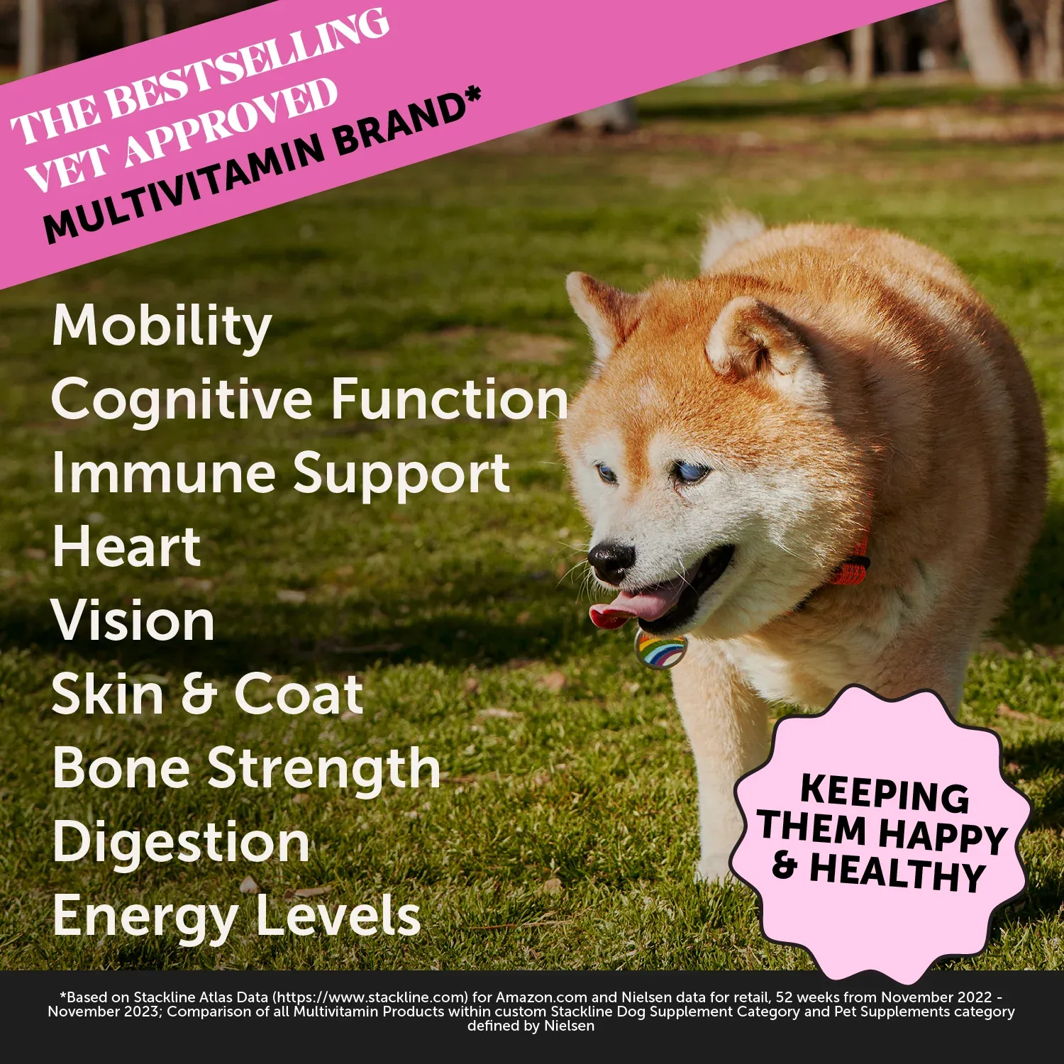 Pet Honesty Multivitamin Senior - Smoked Duck (90 ct. Jar) for Dogs - Image 2