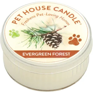Pet House Other Candle Evergreen Forest Mini