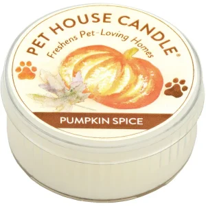 Pet House Other Candle Pumpkin Spice Mini