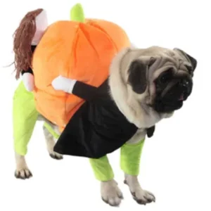 Pet Life 'Pumpkin Mon' Halloween Pet Dog Costume
