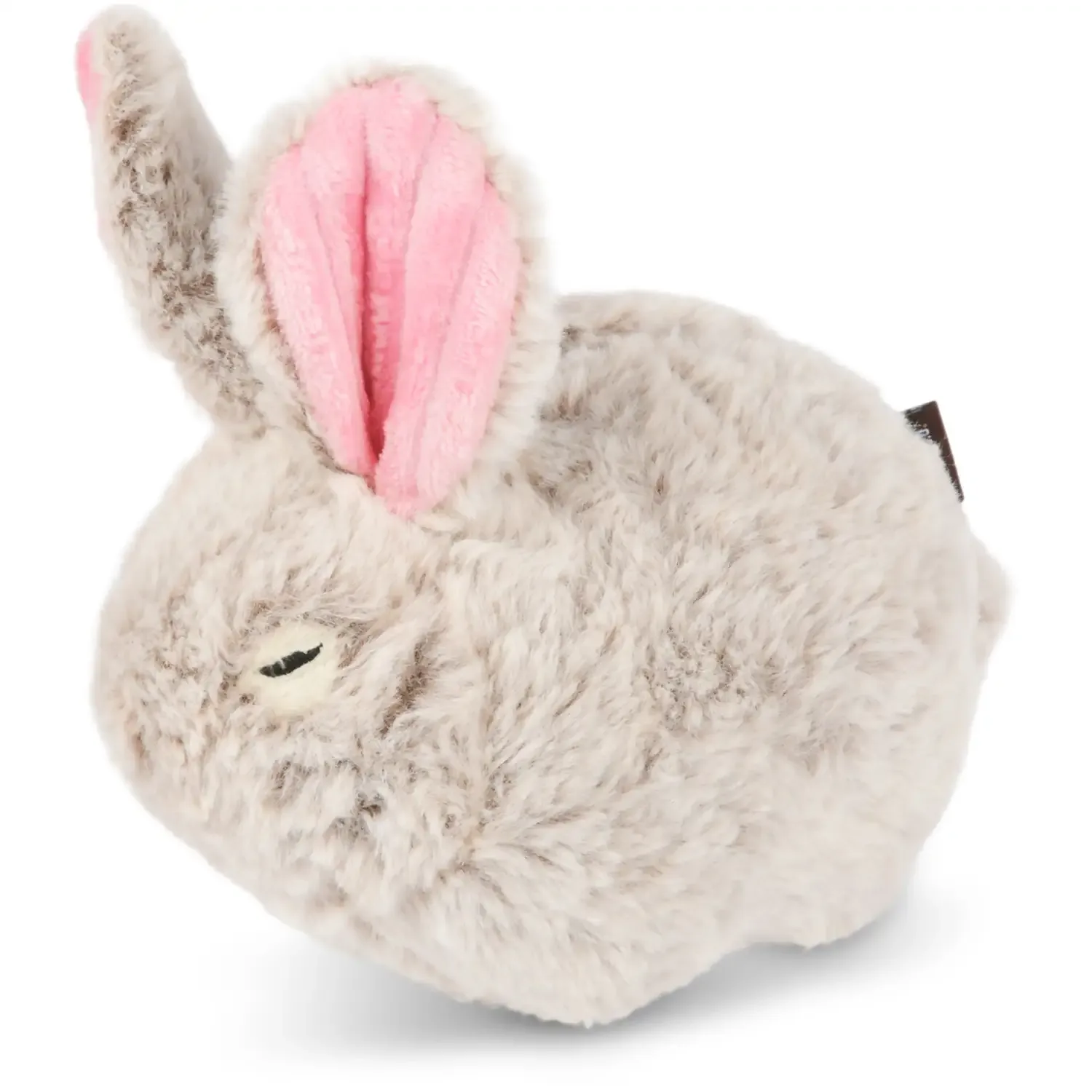 Pet Play Baxter the Bunnny