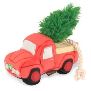 Pet Play Holiday Red Truck