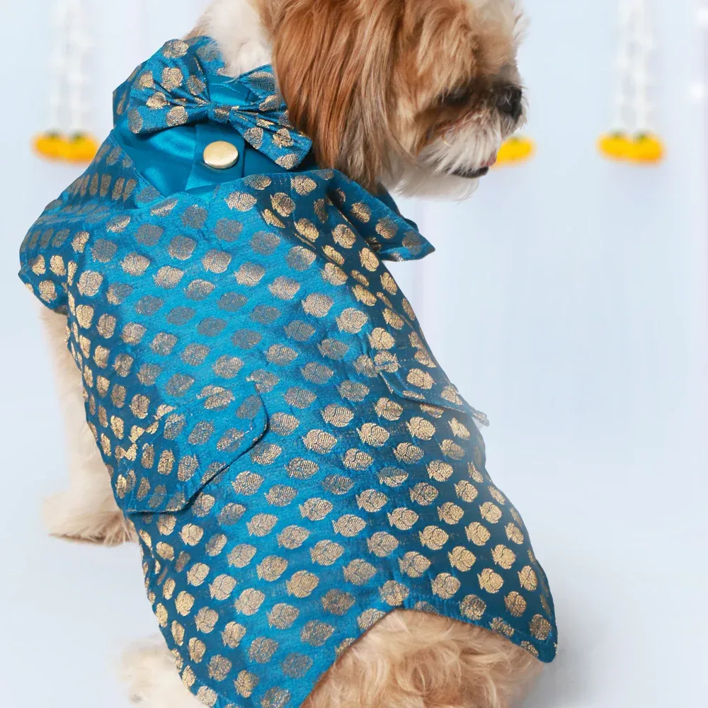 Pet Set Go Kurta with Bowtie for Dogs (Blue) - Image 2