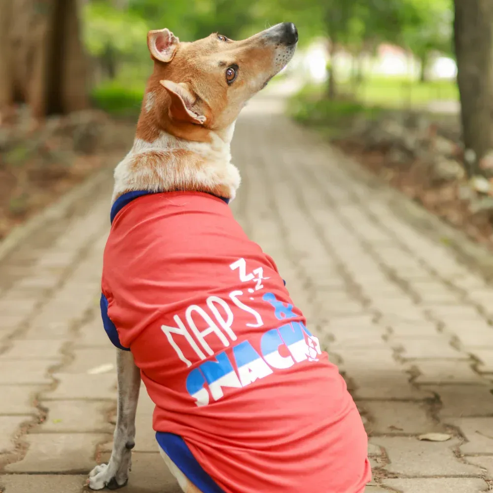 Pet Set Go Naps & Snacks T Shirt for Dogs (Red)