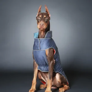 Pet Set Go Wind Sheeter Jackets for Dogs (Blue)