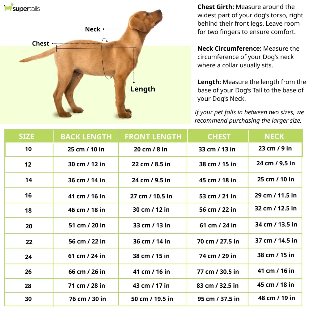 Pet Set Go Wind Sheeter Jackets for Dogs (Blue) - Image 2