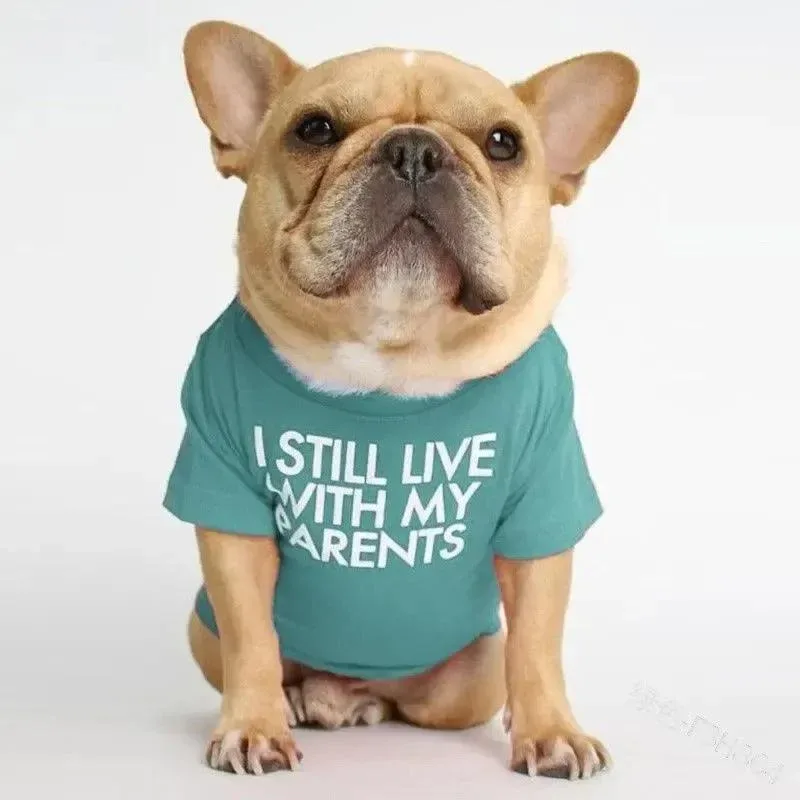 Pet T-Shirt – Soft Dog Shirt for Small & Medium Dogs - Image 2