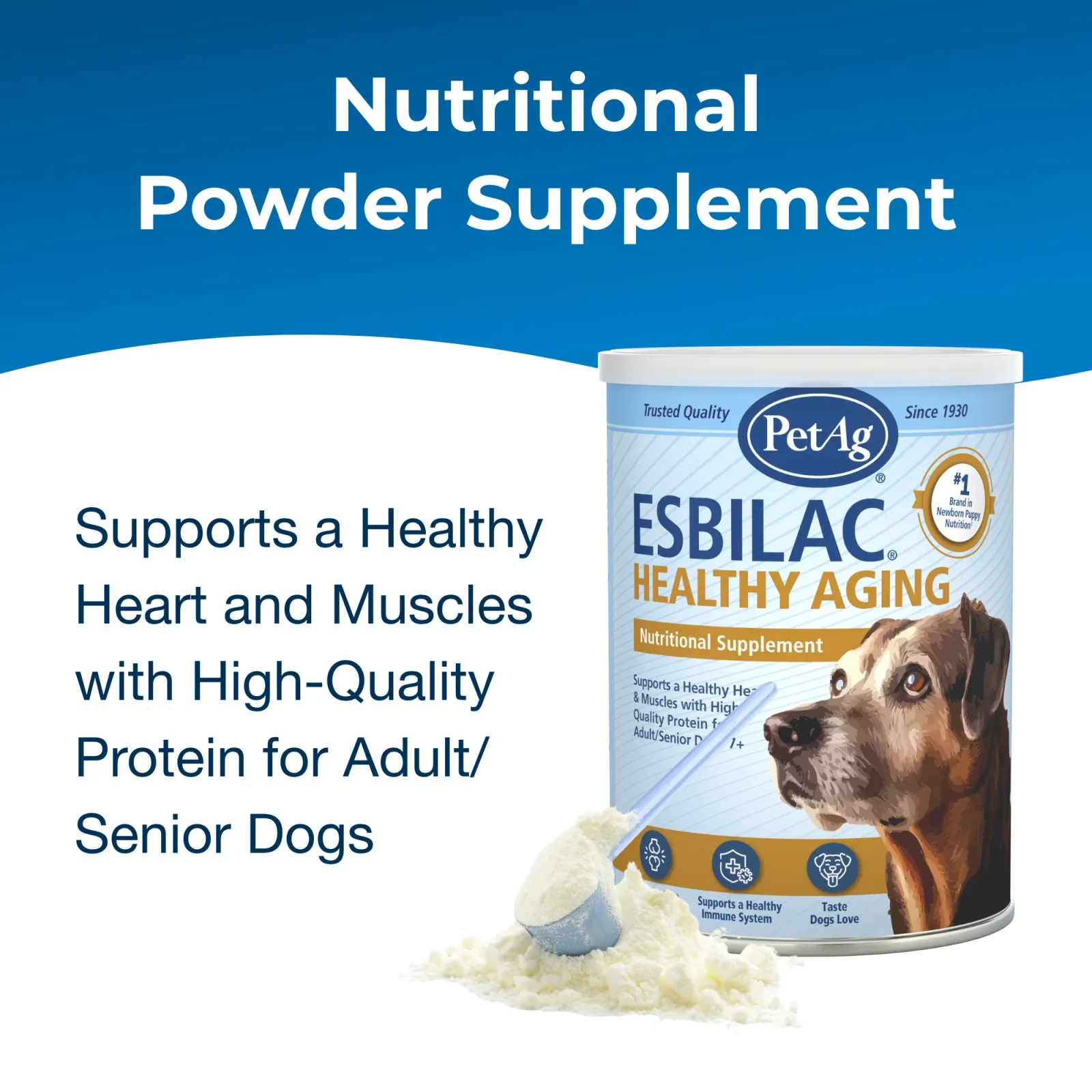 PetAg Healthy Aging for Dogs Powder, 14oz. - Image 2