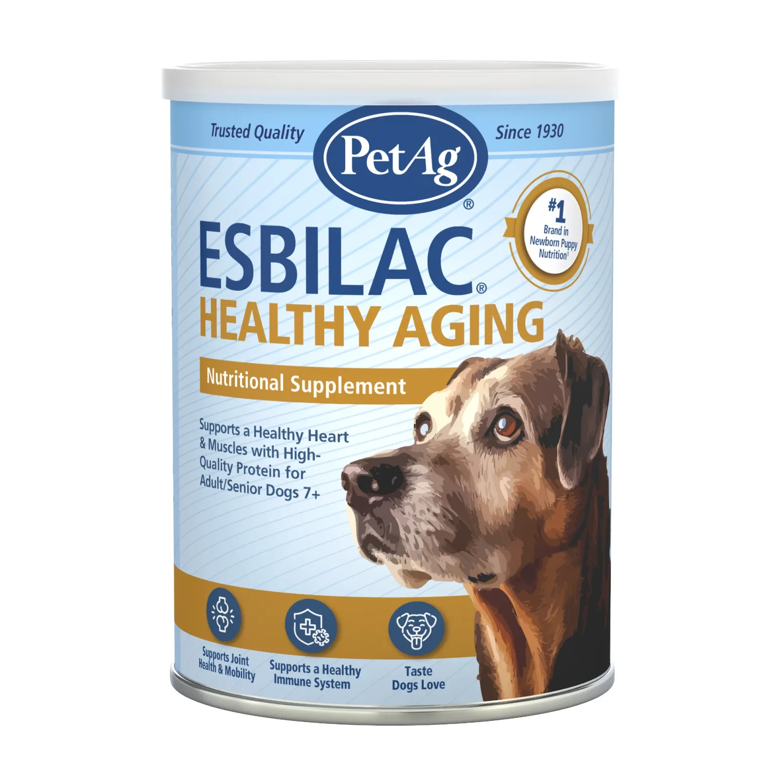 PetAg Healthy Aging for Dogs Powder, 14oz.