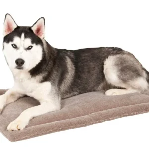 Petmate Kennel Dog Mat Grey 32 Inches X 21 Inches