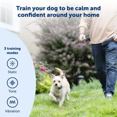 PetSafe 100 yd. Lite Remote Dog Training Collar, For Dogs 8 lb. or Larger, Neck Sizes 6 to 23 in. - Image 2