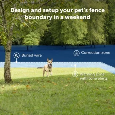 PetSafe 500 ft. Basic In-Ground Pet Fence System - Image 2