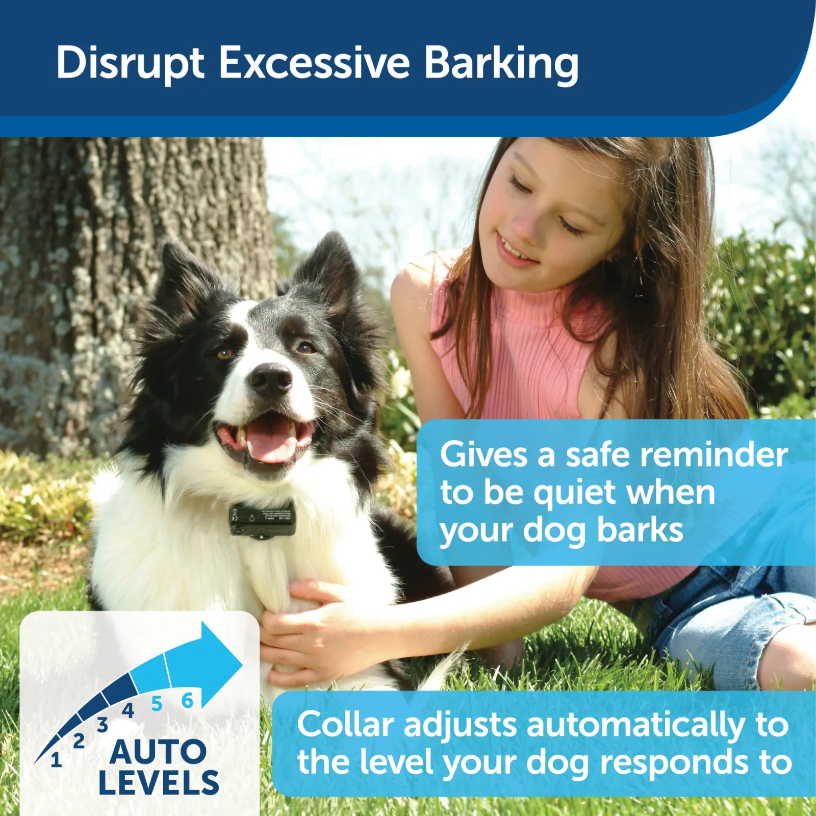 PetSafe® Basic Bark Control Collar - Image 2