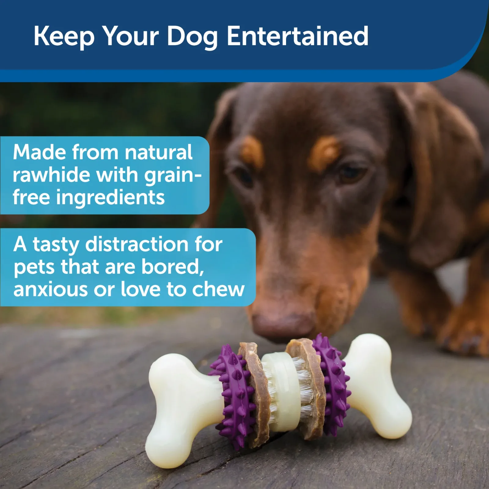 PetSafe Busy Buddy Bristle Bone Dog Toy, Extra Small - Image 2