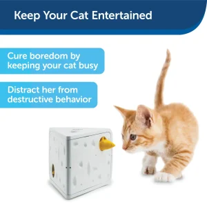 PetSafe® Cheese Automatic Cat Toy