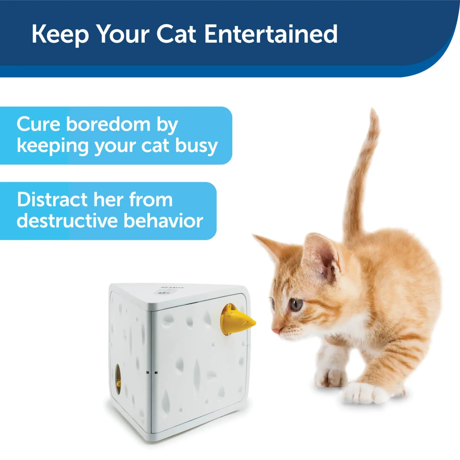 PetSafe® Cheese Automatic Cat Toy