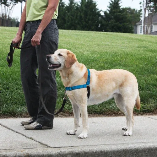 PetSafe Deluxe Easy Walk Steel Dog Harness Black/Ocean MD/LG - Image 2