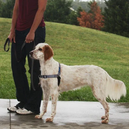 PetSafe Deluxe Easy Walk Steel Dog Harness Black/Steel MD - Image 2