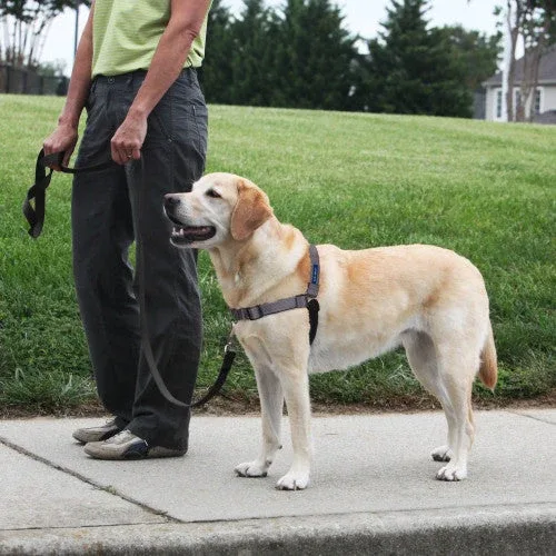 PetSafe Deluxe Easy Walk Steel Dog Harness Black/Steel MD/LG - Image 2