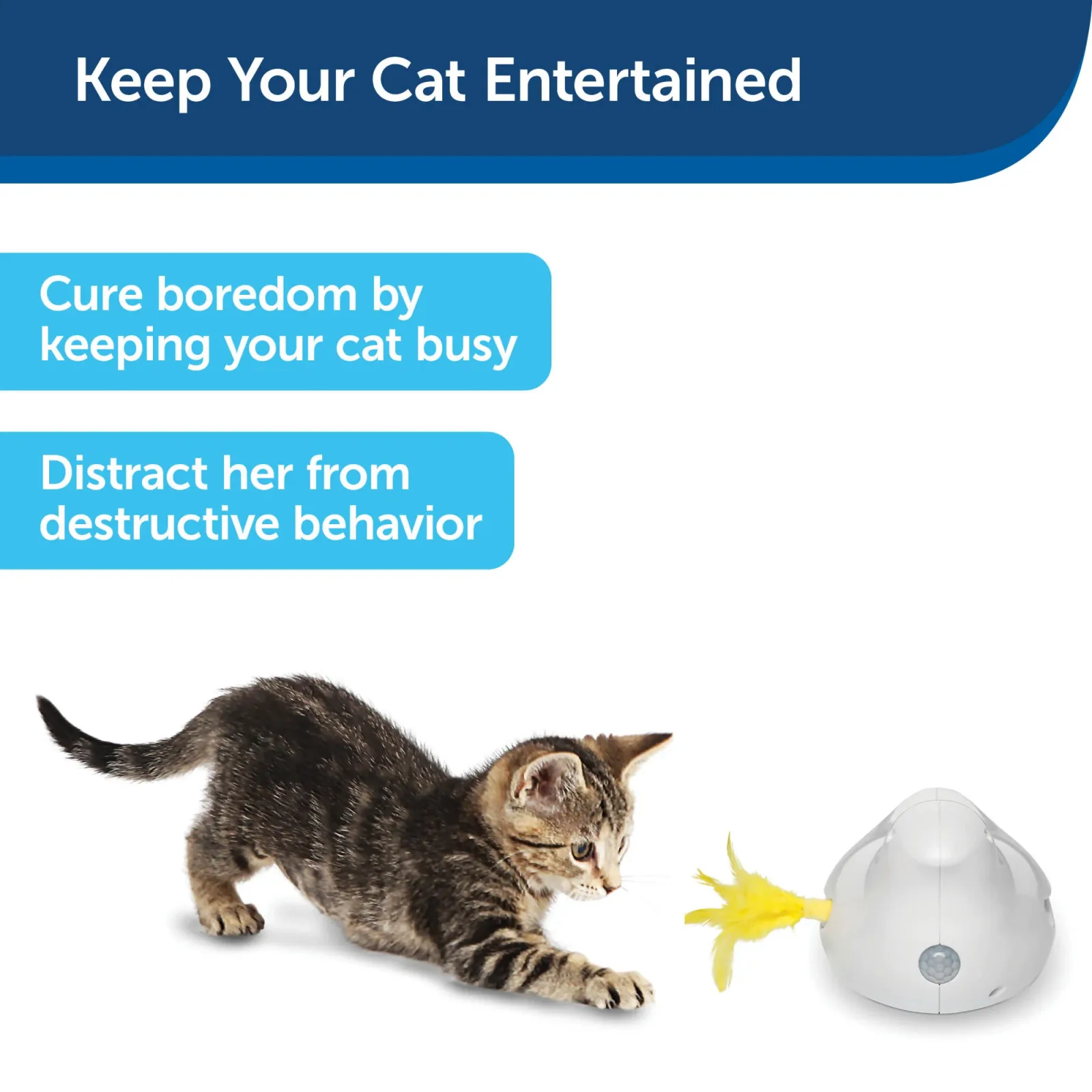 PetSafe® Peek-a-Bird™ Electronic Cat Toy - Image 2