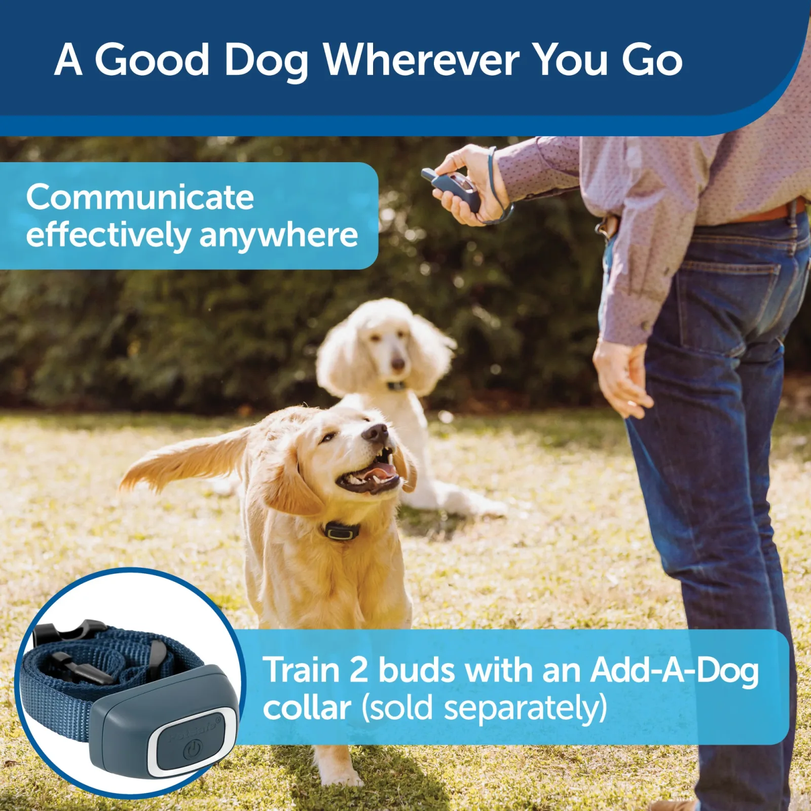 PetSafe Remote Trainer Dog Training Collar - 3 Training Modes: Tone, Vibration, 15 Levels of Static Stimulation, Standard for Dogs over 8lb+ - Waterproof, Durable, Rechargeable - 100 Yards (300 Feet) - Image 2