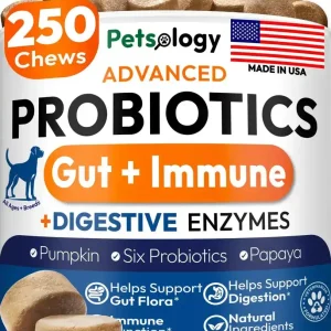 Petsology Probiotic Chews for Dogs – 250 Count | Digestive Enzymes, Prebiotics & Gut Health