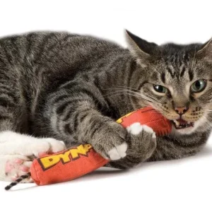 Petstages Green Magic Dynamite Catnip Cat Toy Red