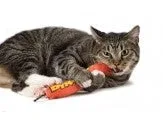 Petstages Green Magic Dynamite Catnip Cat Toy Red - Image 2