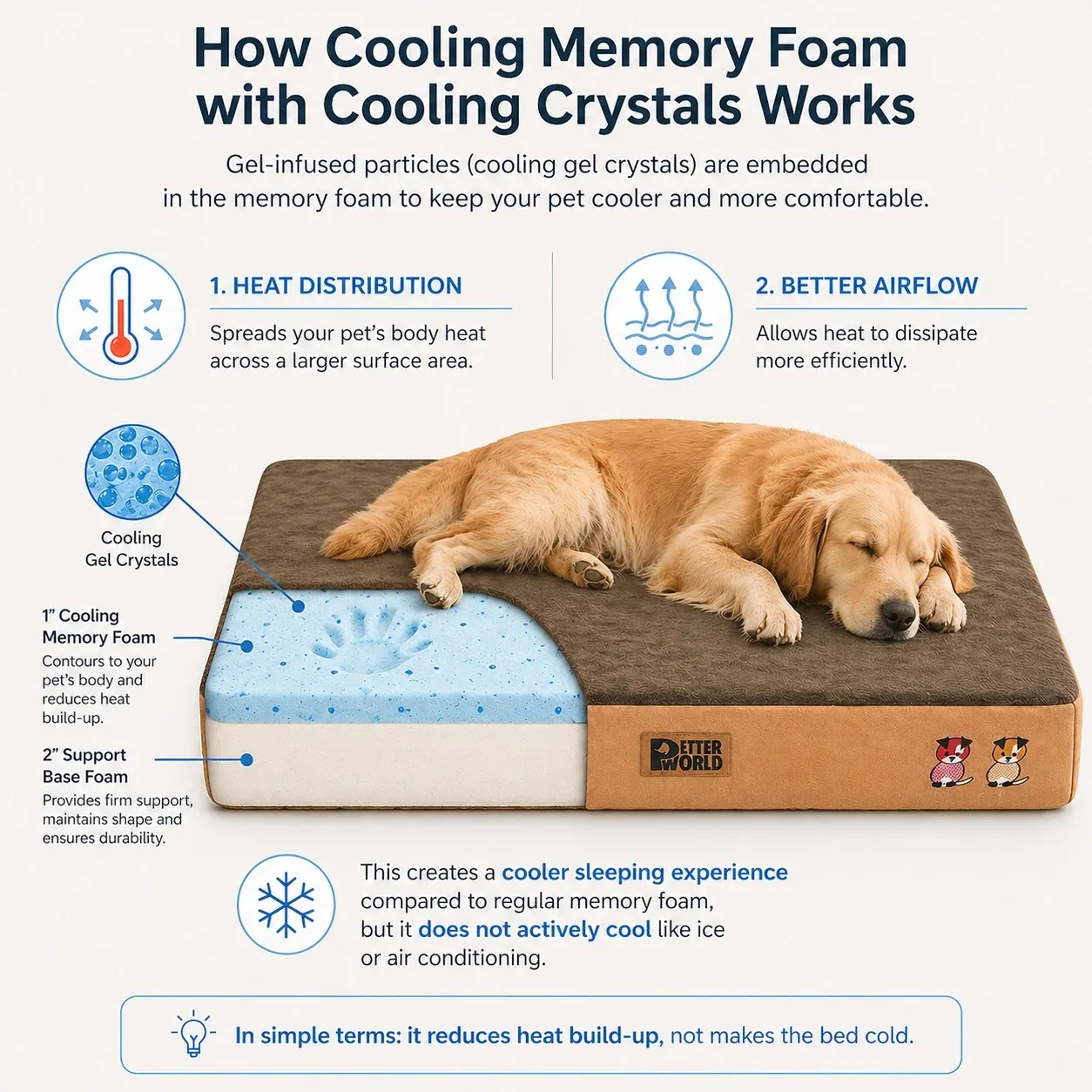 Petter World Orthopedic Memory Foam Bed With Large Sleep Surface for Dogs (Mocha Brown) - Image 2