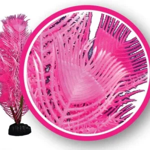Pink Princess Feather