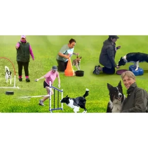 Plan a WOW Winter for Your Agility Dog