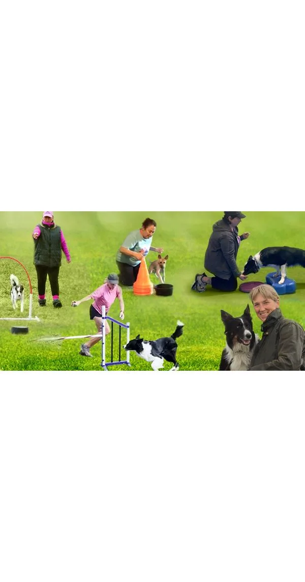 Plan a WOW Winter for Your Agility Dog