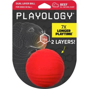 Playology Dual Layer Ball Dog Toy