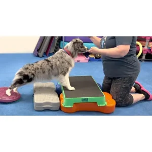 Posture Evaluation and How it Affects Exercise and Sport Performance