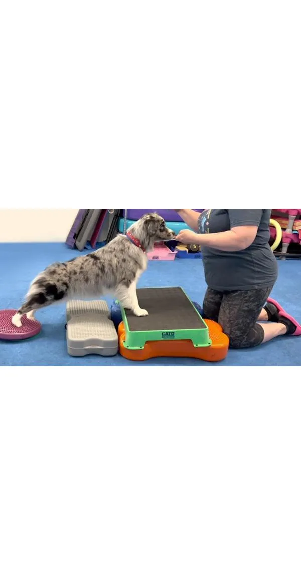 Posture Evaluation and How it Affects Exercise and Sport Performance