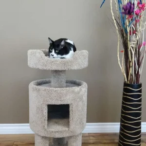 Premier Contemporary Cat House
