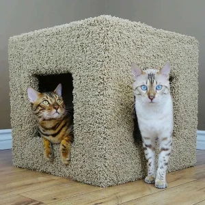 Premier Pet Hiding Cube
