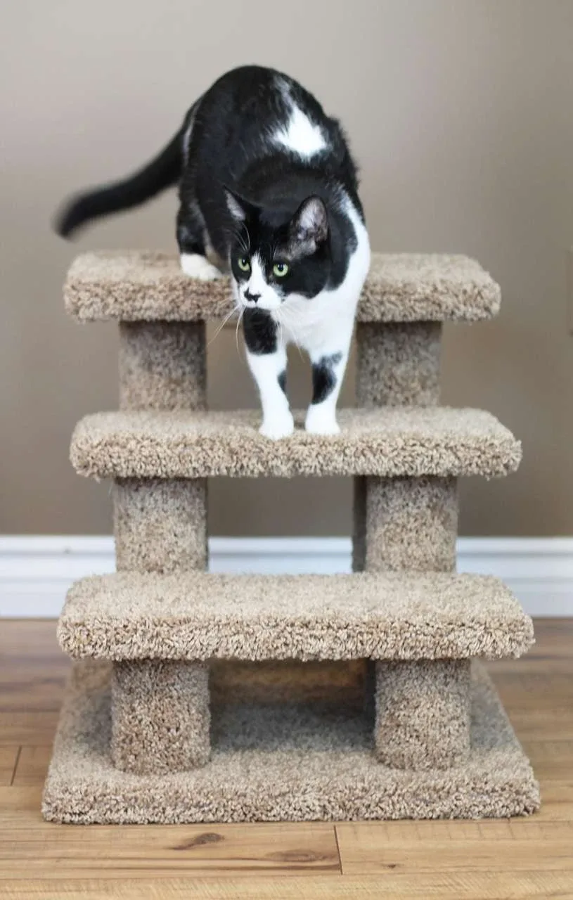 Premier Post Pet Stairs