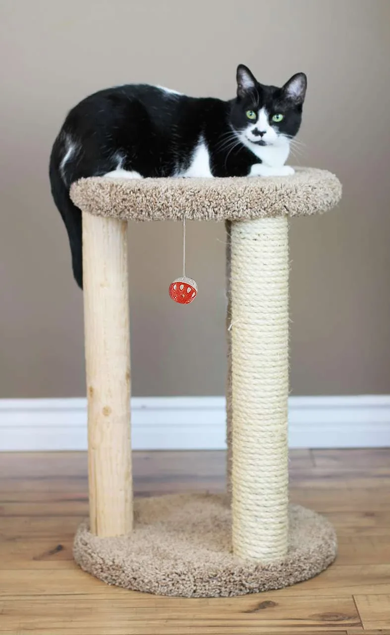Premier Round Multi-Cat Scratcher — Solid Wood Circular Cat Perch with Sisal