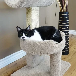 Premier Window Perch