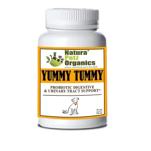 Probiotic Digestive, Bladder & Urinary Tract Support*