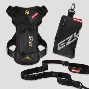 Let’s Go for a Ride Dog Travel Bundle