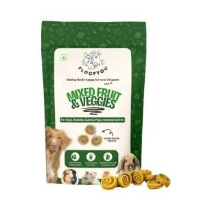 FloofYou Oven Baked Mixed Fruit and Veggies Dog Treats