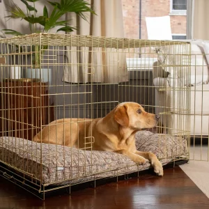Dog Cushion in Opal Minerals by Lords & Labradors