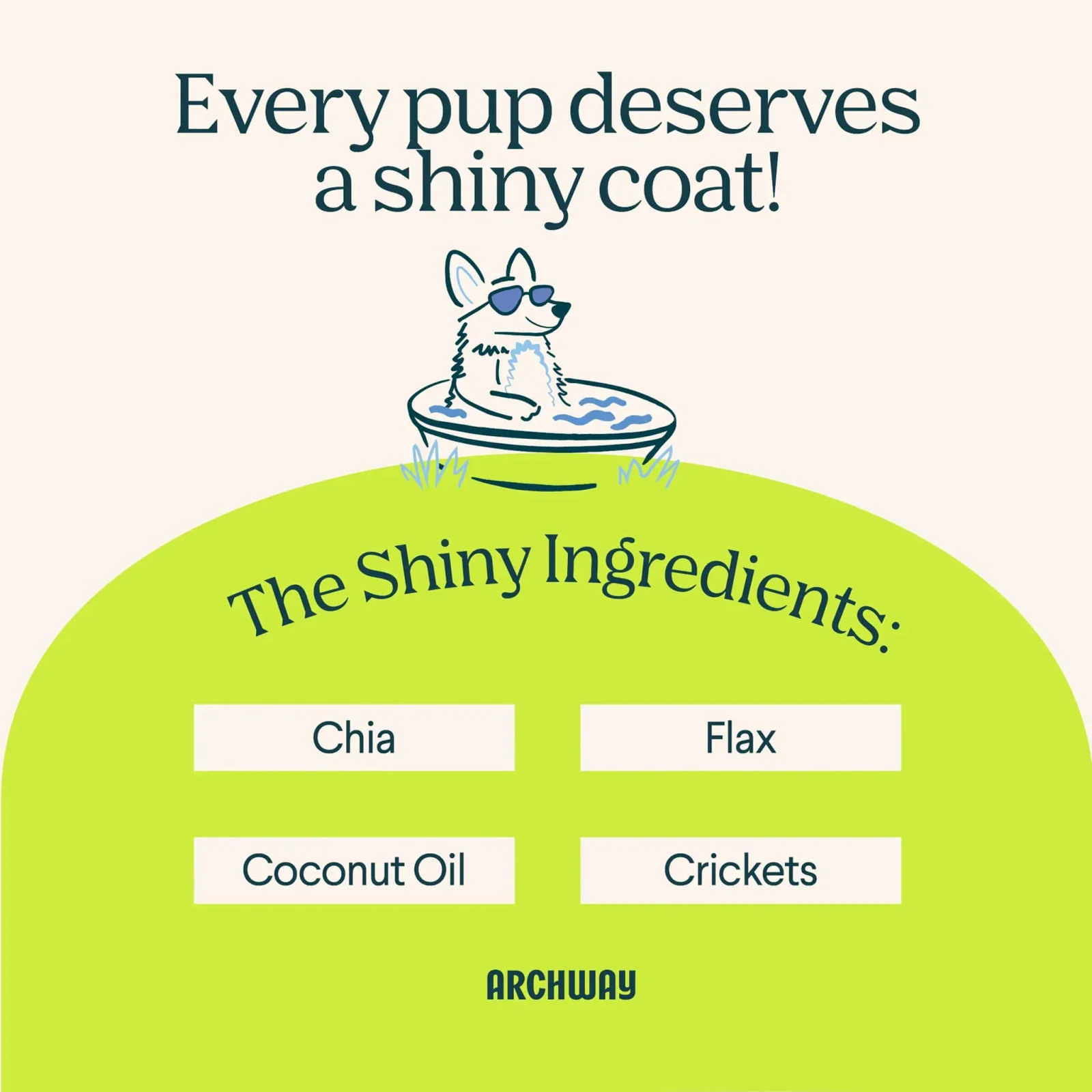 Archway Skin & Coat Health Functional Dog Treats - Image 2