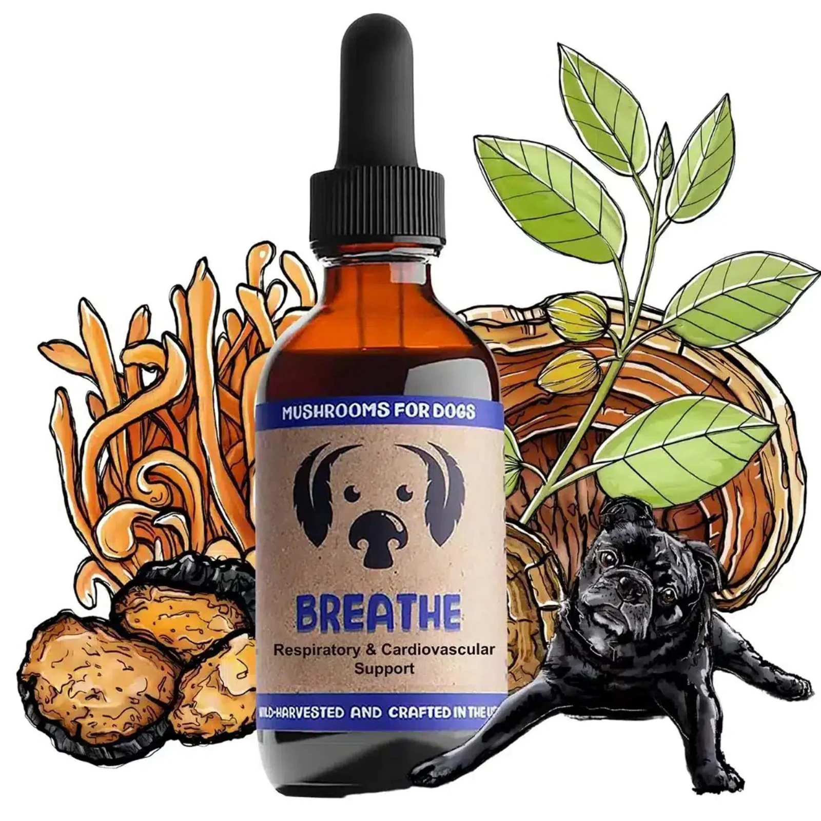 MycoDog Breathe Liquid Respiratory & Cardiovascular Supplement for Dogs - Image 2