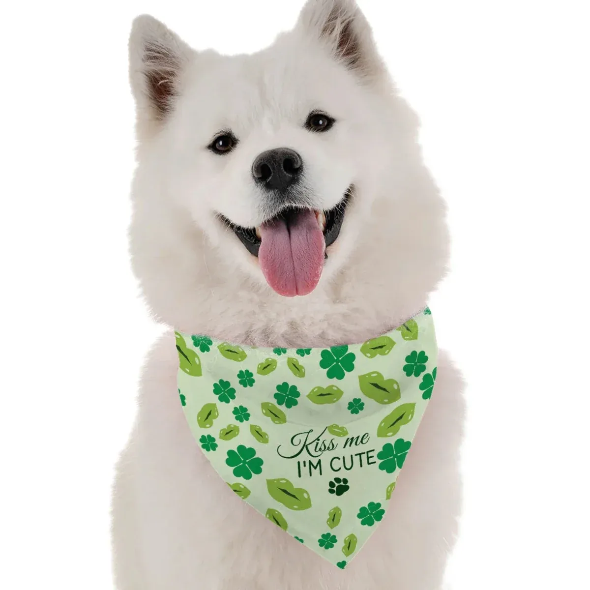 Kiss Me I'm Cute Dog Bandana by BanDoggie