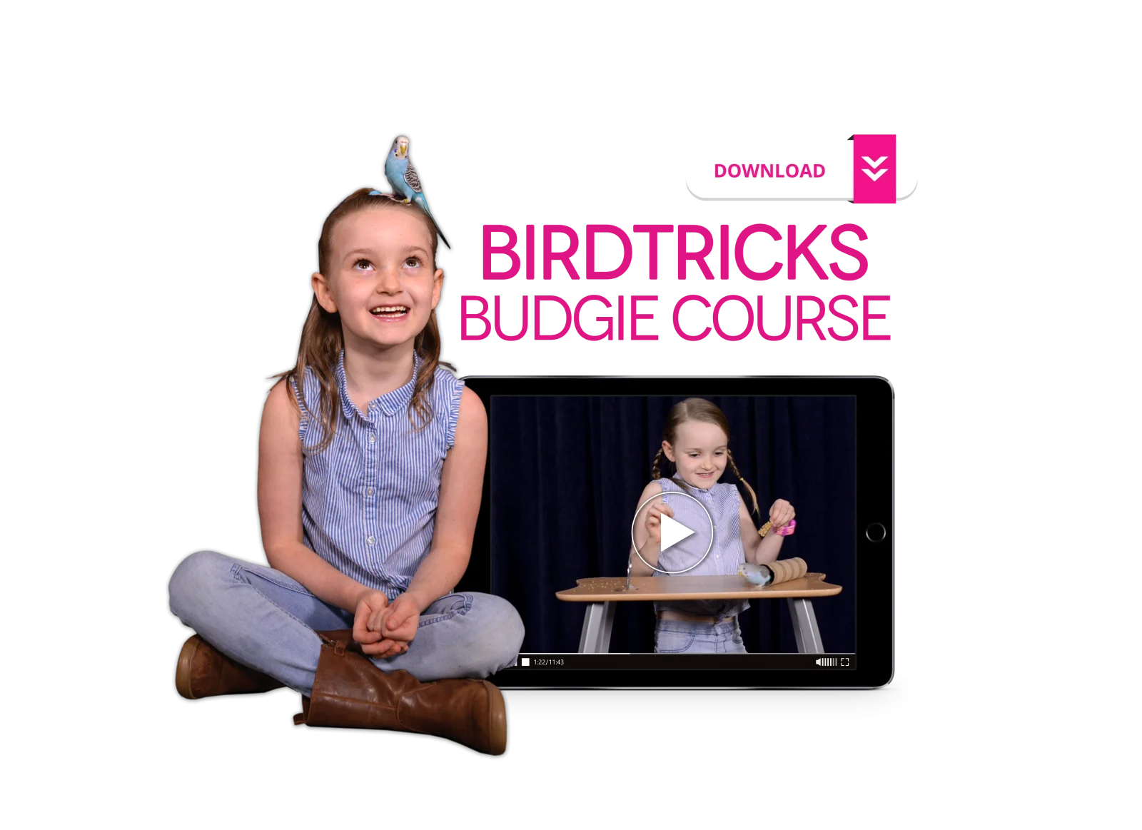 The Budgie Course - Image 2