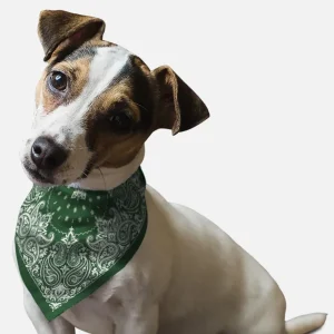 BanDoggie Hunter Green Paisley Western Dog Bandana